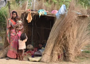 मधेसमा शीतलहरको कहर