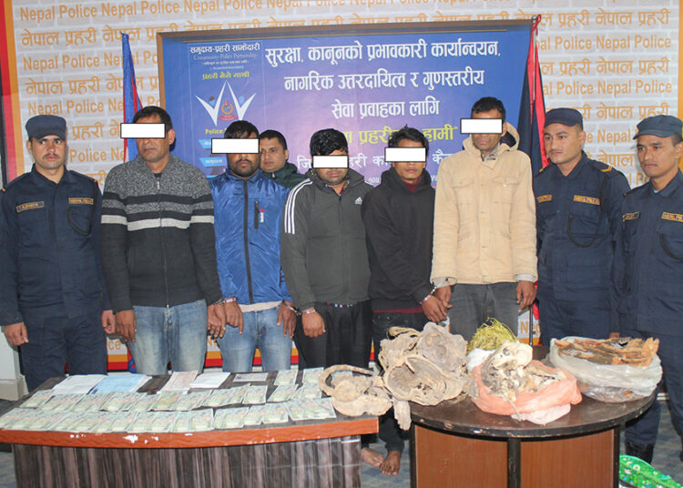 १३८ थान नक्कली नोट, बाघको हड्डी ५ किलोसहित हड्डी पक्राउ