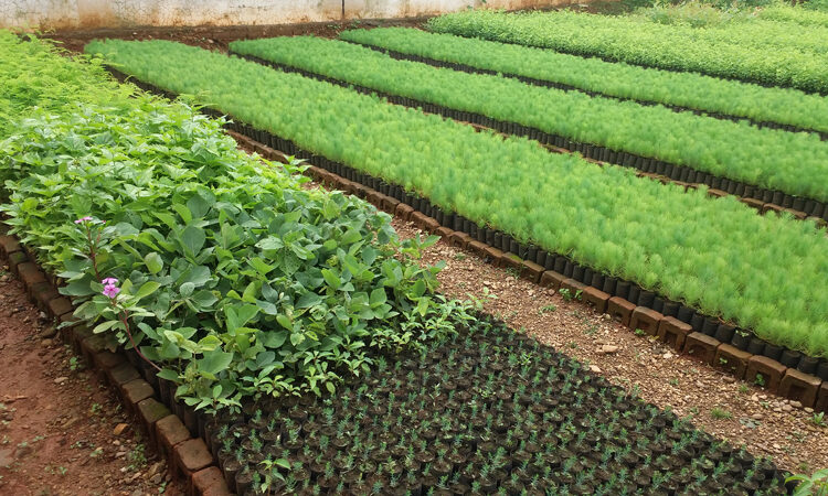 कृषि उत्पादन तथा नियन्त्रण प्रणाली कार्यान्वयनमा