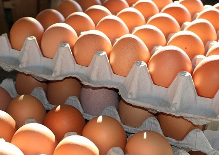बढ्न थाल्यो अण्डाको मूल्य