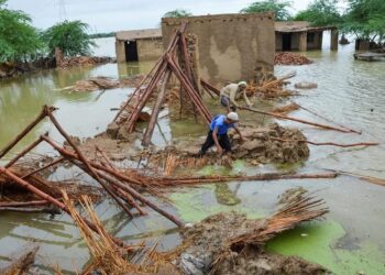 ‘बाढीका कारण पाकिस्तानको अर्थतन्त्रमा ३० अर्ब अमेरिकी डलरभन्दा बढी क्षति’