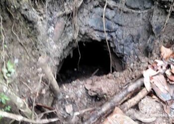 कोरियाबाट फर्केर कोइला भट्टीमा लगानी, मासिक ६० हजार आम्दानी