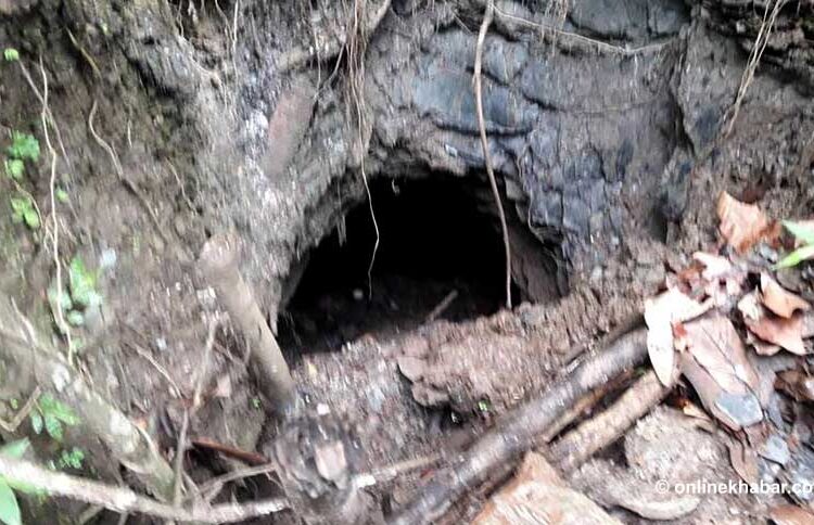 कोरियाबाट फर्केर कोइला भट्टीमा लगानी, मासिक ६० हजार आम्दानी