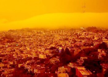 सन् २०२२ लाई अहिलेसम्मको तातो वर्षकोरूपमा रेकर्ड