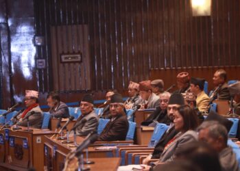 प्रतिनिधिसभा नियमावली मस्यौदा समिति गठन