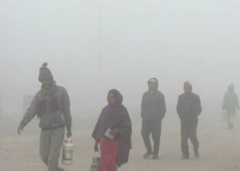 आज पनि तराईमा शीतलहर