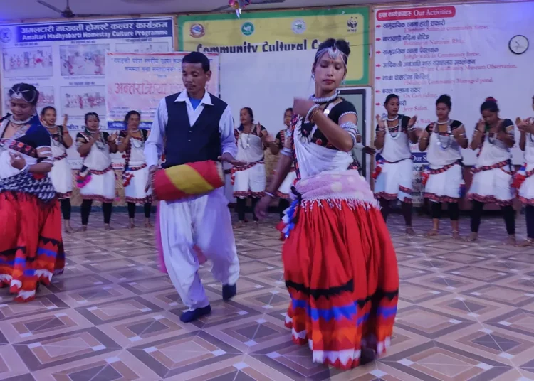 थारु जातिको कला र संस्कृति संरक्षणमा नयाँ पुस्ताको आकर्षण बढ्दै