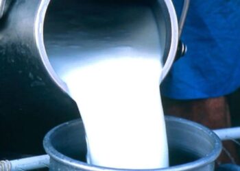 डेरी व्यवसायीले आफूखुसी बढाए दूधको मूल्य