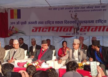 पृथ्वी जयन्ती: राप्रपाका लागि वा देशका लागि?
