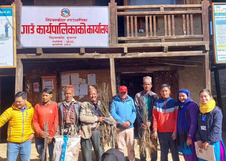 किसानबाट खरिद गरिएको स्याउ र ओखरका बिरुवा वितरण