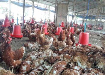 उपत्यकामा यी तीन ठाउँमा संक्रमणकाे पुष्टि