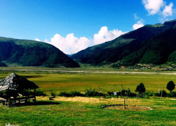 ढोरपाटनमा दोस्रो सिकार याम सुरू