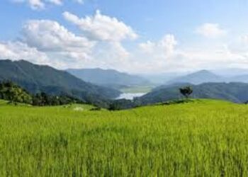 कृषिक्षेत्रमा विदेशी लगानीको बाटो खुल्यो