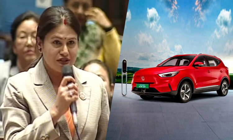 पेट्रोलियम सवारीको विकल्पमा विद्युतीय सवारी उपलब्ध गराउन माग