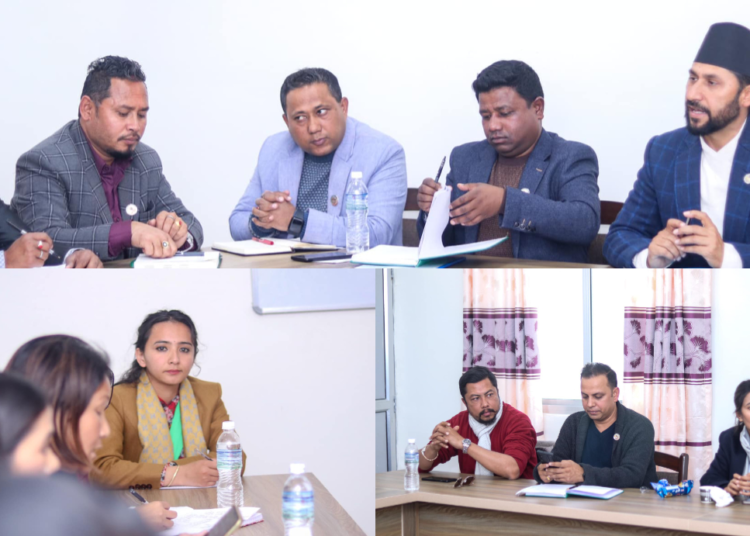 रास्वपाको केन्द्रीय समितिको बैठक सुरू