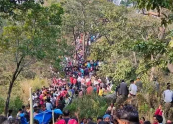 मदारबाबा मेलाप्रति आकर्षण बढ्दै