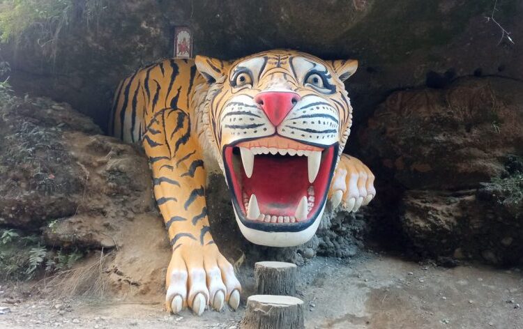 पर्यटक लोभ्याउँदै बाघको मूर्ति