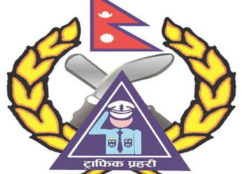 ट्राफिक चेकिङका क्रममा १२ जना स्कुल बसका चालक कारबाही