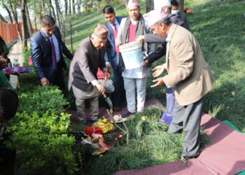 President Paudel has planted saplings at Bankali