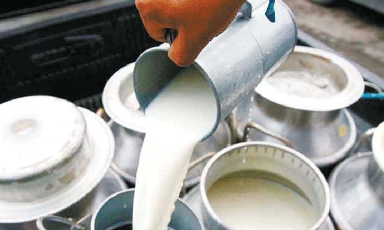बढ्यो दूधको मूल्य