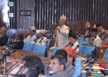 कृषि क्षेत्रको अनुदान कटौतीप्रति सांसदले गराए ध्यानाकर्षण