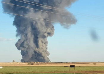 Over 18,000 cows die in Texas dairy farm blaze