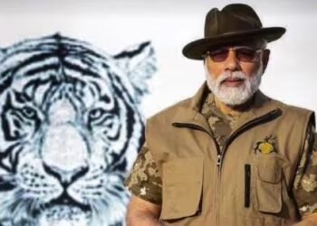 India records 6.74% increase in tiger numbers since 2018