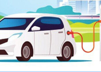 Import of EVs increased by 66%