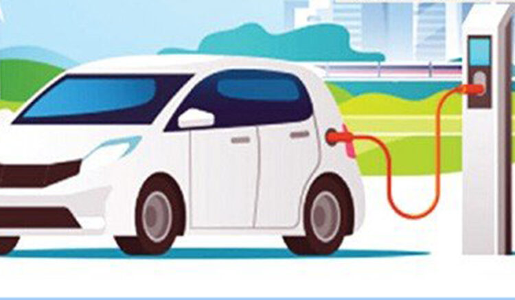 Import of EVs increased by 66%