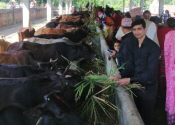 गाई संरक्षणबाट धार्मिक पर्यटनको प्रवर्द्धन
