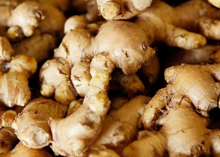 अदुवाको निर्यात १०५ प्रतिशतले वृद्धि