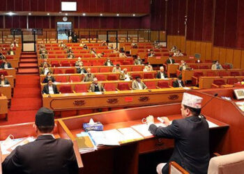 Upper House lawmakers show concerns over ‘vague’ words in budget