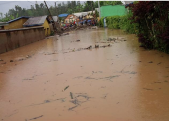 At least 55 killed in heavy rains in Rwanda: Official