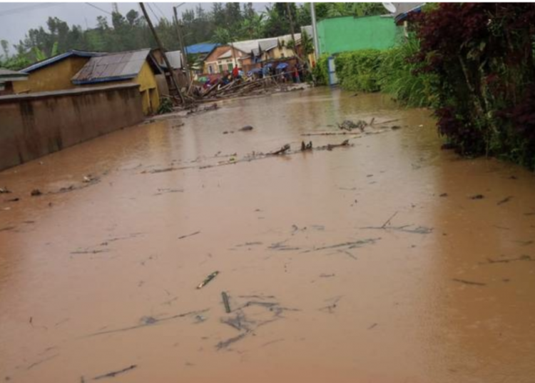 At least 55 killed in heavy rains in Rwanda: Official