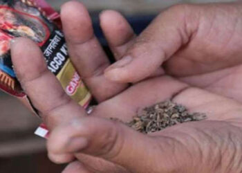 पर्वतको जलजलामा सुर्ती र मदिरा बिक्री-वितरण गर्न रोक