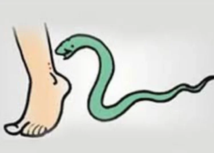 अस्पताल पुर्याए बाँच्छन् सर्पदंशका बिरामी