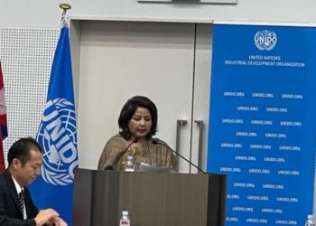 ‘Foreign investment inevitable for Nepal’s development’