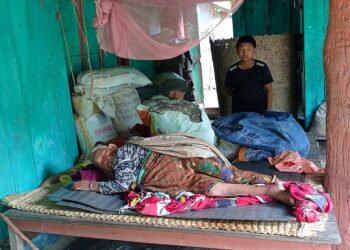 जङ्गली च्याउ खाँदा मोरङको  पाँच जना गम्भीर बिरामी