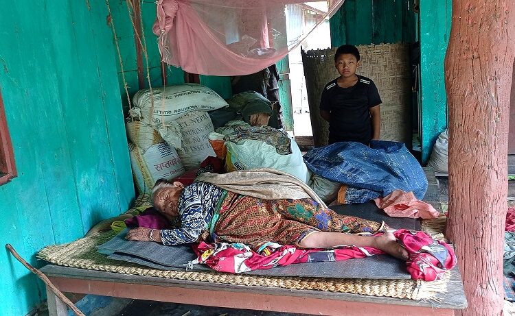 जङ्गली च्याउ खाँदा मोरङको पाँच जना गम्भीर बिरामी