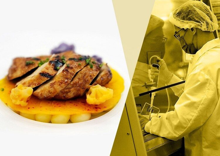 प्रयोगशालामा बनाएको कुखुराको मासु बिक्री गर्न अनुमति पायाे