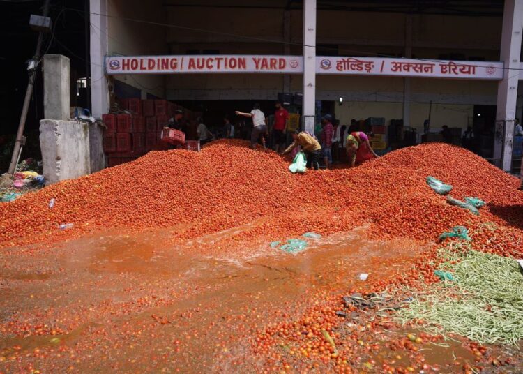 किसानले उत्पादन गरेका गोलभेंडा लगायतका कृषि उत्पादनको उचित मूल्यको व्यवस्था गर्न सरकारसँग माग