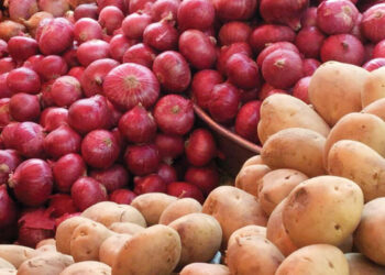 आलुु र प्याजकाे मूल्य अभिवृद्धि कर हटाउन थोक व्यवसायीले माग