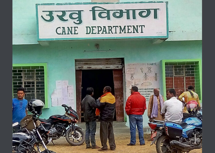 २० रुपियाँको दरले पाँच करोड २६ लाख १४ हजार नौ सय ४० रुपियाँ किसानको खातामा जम्मा