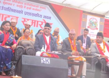 दश पार्टी मिलेर बनेको सरकार कामभन्दा पनि हल्ला बढी