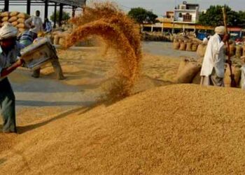 सरकारले तोक्यो धानको समर्थन मूल्य