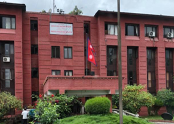 जङ्गली च्याउ खाँदा गम्भीर बिरामी