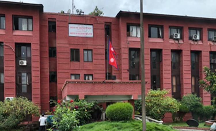 जङ्गली च्याउ खाँदा गम्भीर बिरामी