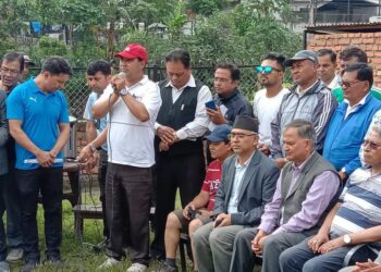एमालेले जनताको स्वार्थभन्दा अरू केही नदेख्ने