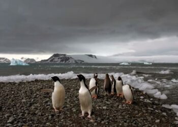 Climate extremes hit frozen Antarctica, scientists discover
