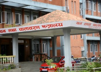 आगामी जलवायु सम्मेलनका प्राथमिकता : जलवायु वित्त, अनुकूलन र हानि नोक्सानी